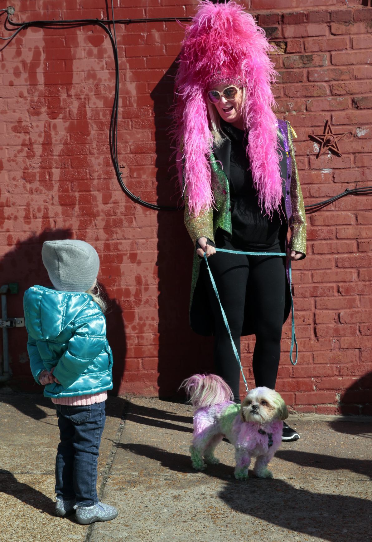 Purina Pet Parade barks through Soulard